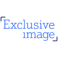 Exclusive Image Logo