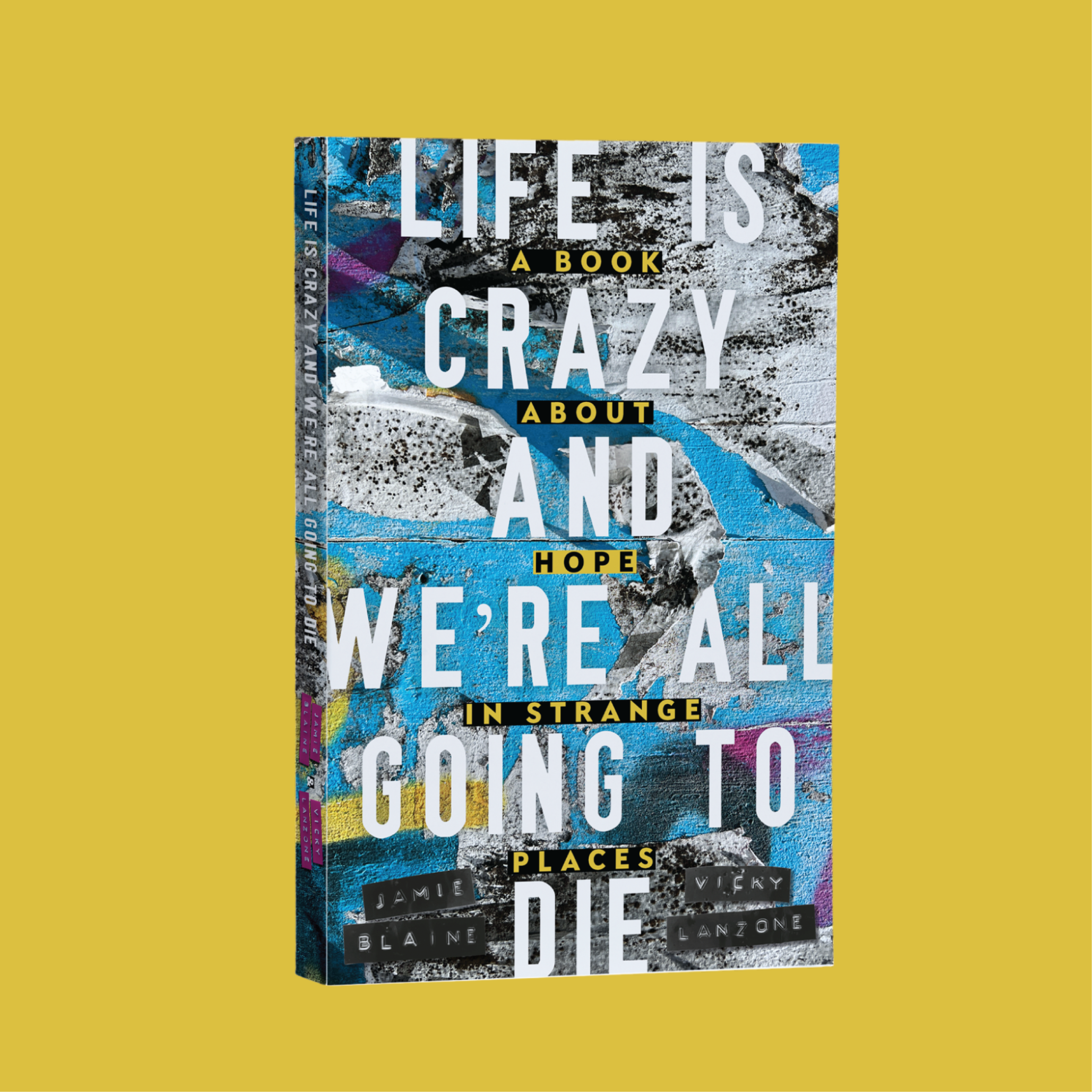 Life is Crazy Book