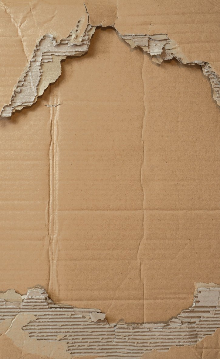 SLM_cardboard_hmpg_back-vertical-optimized -toDelete